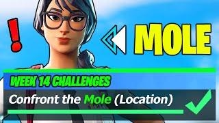 Confront the Mole & Mole Location (Fortnite)