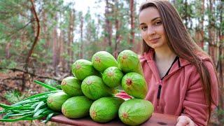 ZUCCHINI PANCAKES in the forest, outdoor cooking