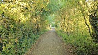 Summer Evening Walk in South Cerney | Cotswolds