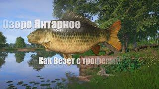 Русская Рыбалка 4 ► Russian Fishing 4 ► Янтарка и почему я ее не люблю!