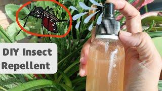 Harnessing the Power of Cloves and Alcohol: DIY Insect Repellent