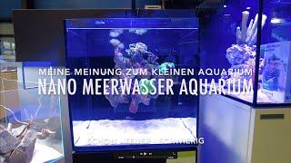 Nano Meerwasser Aquarium Ja oder Nein?  Vorteile Nachteile So geht es richtig! Nichts für Anfänger!