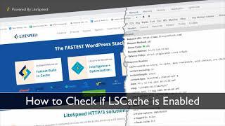 Check if LiteSpeed Cache is Enabled