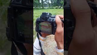 DSLR LOVER Nikon 5300D lens 70-300 zoom 60× #viral_video