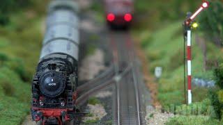 Märklin Modelleisenbahn der Eisenbahnfreunde Sinntalbahn - Eine 3-Leiter-Spur H0 Eisenbahnanlage