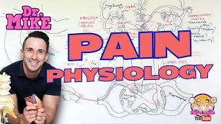 Pain Physiology | Nociception