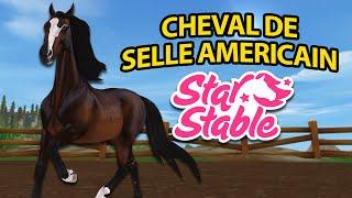 Achat du Cheval de selle américain  | Star Stable - SSO