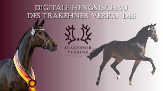 Digitale Trakehner Hengstschau 2021