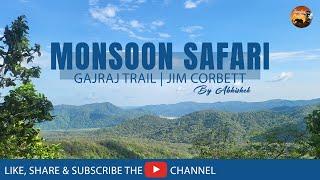 Jim Corbett - Jhirna Zone || Gajraj Trail ||Jungle Safari by Abhishek