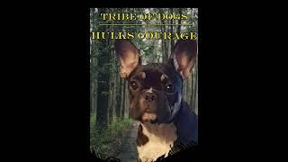 Tribe of dogs: Hulk’s courage (special edition audiobook)