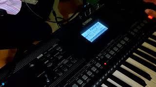 Yamaha PSR-EW410 voice demo