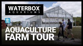 Farm-Raised Corals and Marine Fish:  Let's Tour the ORA® Aquaculture Facility