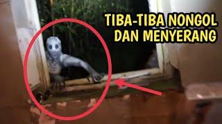 HANTU BIKIN JANTUNGAN !! 5 PENAMPAKAN HANTU PALING MENGERIKAN - Jumpscare Video