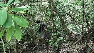 John Poops and Pees in the Woods June 14 2018