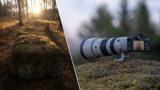 Sony A7IV - Nature & Wildlife Photography Vlog