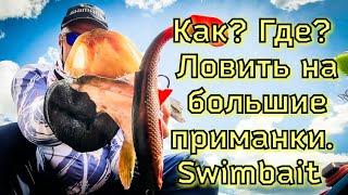 КАК? ГДЕ? Ловить на большие приманки! [Swimbait] Щука на крупную резину.