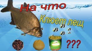 НА ЧТО КЛЮЕТ ЛЕЩ