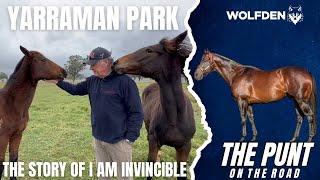 THE PUNT (on the road) THE STORY OF I AM INVINCIBLE