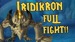 Iridikron FULL BOSS FIGHT GUIDE! HARDEST Dawn of the Infinite Megadungeon Boss - WoW Dragonflight