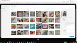 Darleen - Editing a Divi Gallery Module Tutorial