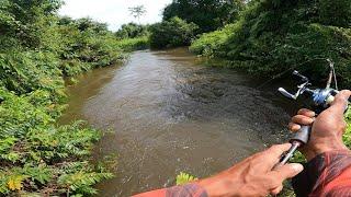 SADIS TARIKAN IKAN HAMPALA DISINI BIKIN PEMANCING IRI!! MANCING IKAN HAMPALA DI SUNGAI