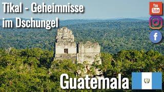 Sonnenuntergangs Tour in Tikal Guatemala  - GUATEMALA 