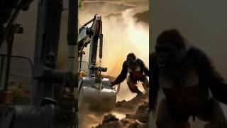 Wild Gorilla vs Crane Operator | Monkey Attack on Construction Site! #monkey #gorillaattack #shorts