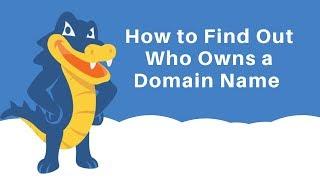 How to Find Out Who Owns a Domain Name