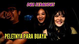 TAXI HIPNOTIS JARAN GOYANG !! BUAYA JANTAN VS BUAYA BETINA PART 3