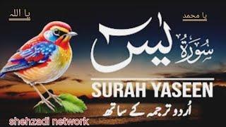 , surah Yaseen Sharif ki tilawat I have a short number 56 Hindustan ka ek mashhur Qari 