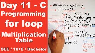 Multiplication Table in C || Program example of for loop || Day 11 || Readersnepal