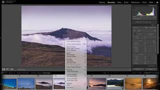 Lightroom in 60-Seconds: For everybody who accidentally clicks Filmstrip Badges