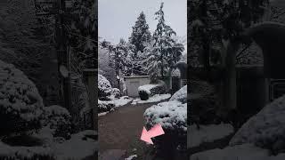 #topvideos #hitsubscribebutton #snow #topvideos #viitotv #duet #viral