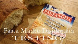 testing: lievito madre disidratato Pane degli Angeli | CasaSuperStar