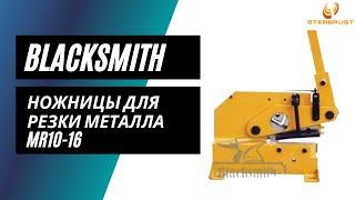 Ножницы для резки металла Blacksmith MR10-16