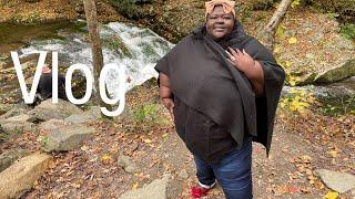 Joy Amor Vlog  |  Bears , Waterfalls , Cars and Soul food | Smoky Mountains Vlog  |  Joy Amor