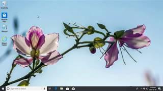 How to Turn On or Off Give Updates for Other Microsoft Products in Windows 10