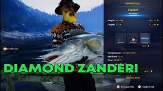 Diamond Zander Call of the wild The Angler