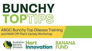 ABGC Bunchy Top Disease Training | Coorabell, 2023