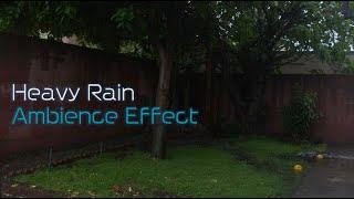 Heavy rain backyard Sound Effect in ((STEREO))