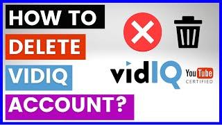 How To Delete A VidIQ Account? [in 2024]