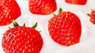How Oishii Grows Some Of The Most Expensive Strawberries In The World | Delish
