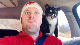 The Most dramatic cats moments ever!  Funny Cat Videos 2025