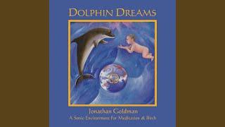 Dolphin Dreams