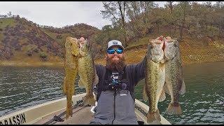 Bass Fishing TRIFECTA Lake Berryessa Early January