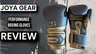 Joya Gear Boxing Gloves: Good Alternative to Rival?