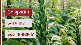 ઉનાળુ તલમાં ખાતર વ્યવસ્થાપન ! Sesamum - Integrated fertilizer management | AgroStar | Ramesh Rathod