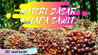 Materi Dasar Perkebunan Kelapa Sawit | Kuliah ONLINE #INSTIPER