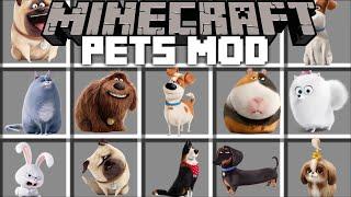 Minecraft SECRET LIFE OF PETS MOD / CHOOSE WHICH DOG, CAT OR HAMSTER IS THE BEST !! Minecraft Mods