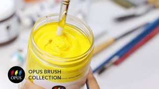 Opus Brush Collection